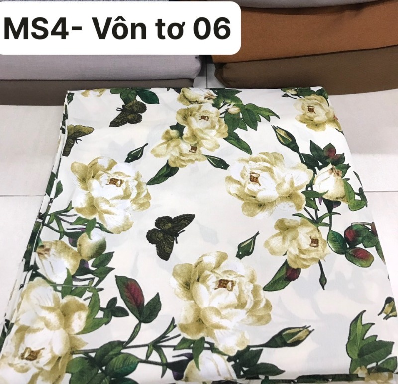 MS4- Voan Tơ 06